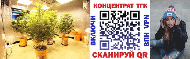 KRAKEN зеркало Талица ТГК вейп