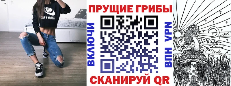 Галлюциногенные грибы Cubensis Талица